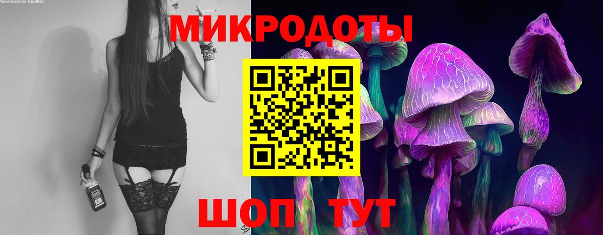 Галлюциногенные грибы Psilocybe Каменск-Уральский
