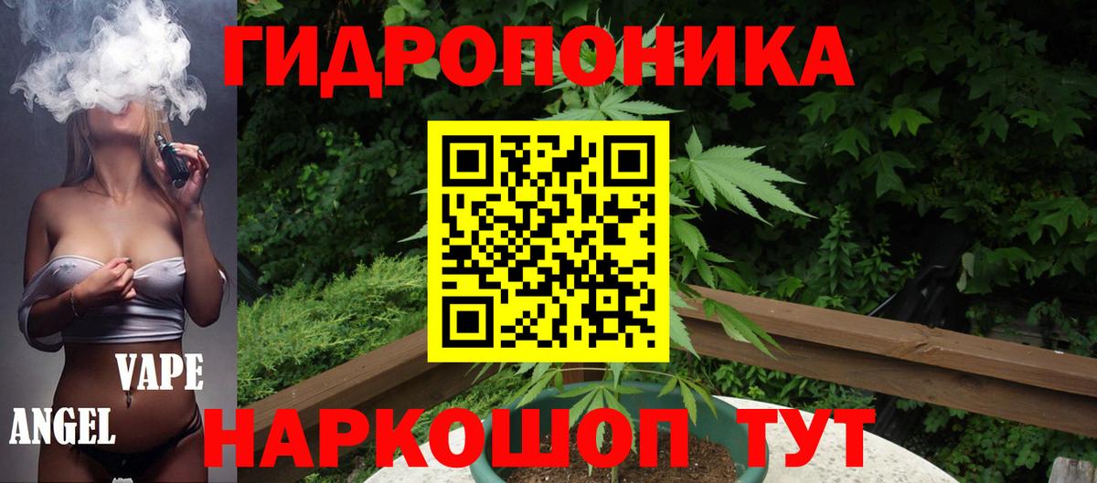 Каннабис Bruce Banner  Вход с VPN  Каменск-Уральский  Бошки Шишки планчик  Канабис планчик 